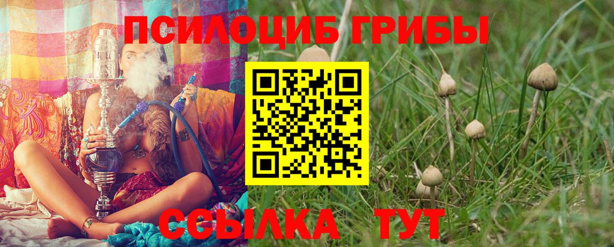 Галлюциногенные грибы Cubensis  Вход с VPN  Галлюциногенные грибы Psilocybe  Усинск 