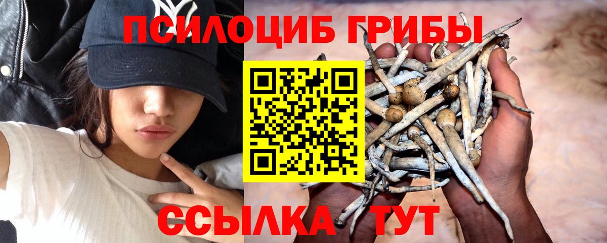 Галлюциногенные грибы Cubensis Усинск